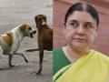 भटके कुत्रे : सुप्रीम कोर्टाने आपली जबाबदारी झटकली; मनेका गांधींचा आरोप, पूर्वीचे आदेशच सांगितले - Marathi News | Stray dogs: Supreme Court shirks its responsibility; Maneka Gandhi alleges, cites previous orders | Latest national News at Lokmat.com