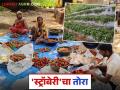 Satpuda Strawberry : सातपुड्यातील स्ट्रॉबेरीची मार्केटमध्ये चलती अन् परराज्यातही बोलबाला - Marathi News | Latest News agriculture news Strawberries from Satpuda are dominating market, see details | Latest agriculture News at Lokmat.com