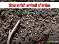 Seed Bank : गोंदियाच्या भार्गवची अनोखी बीजबँक, सीडबॉल पद्धतीतुन हजारो बियाण्यांचे जतन - Marathi News | Latest news Bhargava raut of Gondia saved thousands of seeds by seedball method | Latest agriculture News at Lokmat.com