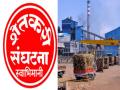 ..'तर साखर कारखान्यांच्या अध्यक्षांच्या घरासमोर ठिय्या मारु' - Marathi News | Sugar mills should not be closed in Sangli district till harvesting and sifting of about 20 to 25 thousand hectares, Demanded by Swabhimani Sanghatana | Latest sangli News at Lokmat.com