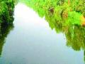 सुधागडमध्ये रब्बी क्षेत्रात मोठी वाढ - Marathi News | Great rise in Rabbi area in Sudhagad | Latest raigad News at Lokmat.com