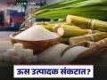 Sugar Export : साखर निर्यात थांबली तर शेतकऱ्यांचे मोठे नुकसान होणार? वाचा सविस्तर - Marathi News | latest news Sugar Export: Will farmers suffer huge losses if sugar exports stop? Read in detail | Latest agriculture News at Lokmat.com