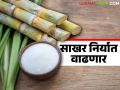 Sakhar Niryat : चालू आर्थिक वर्षात साखर निर्यातीत वाढ; कोणत्या देशात किती निर्यात? - Marathi News | Sakhar Niryat : Increase in sugar exports in the current financial year; How much is exported to which country? | Latest agriculture News at Lokmat.com