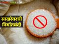 Sugar Export : सहा वर्षांत किती साखर निर्यात झाली? आता निर्यातबंदीच गणित समजून घ्या? वाचा सविस्तर - Marathi News | latest news Loss of sugar factories, sugarcane farmers due to sugar export ban | Latest agriculture News at Lokmat.com