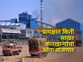 ऊस गाळप परवान्यासाठी राज्यात २१७ कारखान्यांचे अर्ज - Marathi News | Applications of 217 factories in the state for sugarcane crushing license | Latest agriculture News at Lokmat.com
