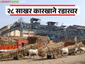 शेतकऱ्यांच्या उसाचे पैसे थकविणाऱ्या राज्यातील 'या' २८ साखर कारखान्यांवर आरआरसी कारवाई - Marathi News | RRC takes action against 'these' 28 sugar factories in the state for evading farmers sugarcane payments | Latest agriculture News at Lokmat.com