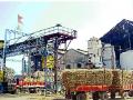 कारखान्यांना साखर निर्यातीतून २१४ कोटी - Marathi News | 214 crore from sugar exports to factories | Latest sangli News at Lokmat.com
