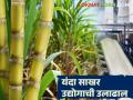 साखर उद्योग चालण्यासाठी अतिरिक्त साखर निर्यातीची गरज; यंदा ७५ टक्के महसूल शेतकऱ्यांना - Marathi News | Additional sugar exports needed to keep the sugar industry running; 75 percent of revenue to go to farmers this year | Latest agriculture News at Lokmat.com