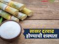 केंद्र सरकारने मे महिन्याचा साखर कोटा केला कमी; आगामी काळात दरात वाढ होणार का? - Marathi News | The central government has reduced the sugar quota for the month of May; Will the price increase in the future? | Latest agriculture News at Lokmat.com