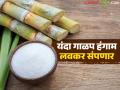 यंदाचा गाळप हंगाम अजून किती दिवस चालणार? साखरेचे उत्पादन किती होणार? वाचा सविस्तर - Marathi News | How many more days will this year's crushing season last? How much will the sugar production be? Read in detail | Latest agriculture News at Lokmat.com