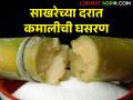 साखरेचे दर घसरल्याने कारखाने शेतकऱ्यांना ऊसाची बिले वेळेत देतील का? - Marathi News | Will sugarcane factories pay sugarcane bills to farmers on time as sugar prices fall? | Latest agriculture News at Lokmat.com
