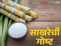 Sugar Market : एक्सपोर्ट परवाना बंद केल्याने साखरेवर काय होईल परिणाम - Marathi News | Sugar Market : What will be the impact of export license closure on sugar? | Latest agriculture News at Lokmat.com