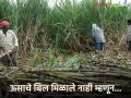Sugarcane Bill : साखर कारखान्याने पाच महिन्यांपासून उसाचे बिल थकवले, शेतकऱ्याने काय केले पहा  - Marathi News | latest news Sugar factory has been paying sugarcane bill for five months, see what the farmer did | Latest agriculture News at Lokmat.com