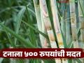 पंजाब व कर्नाटकच्या धर्तीवर ऊस उत्पादक शेतकऱ्यांना प्रतिटन ५०० रुपयांची मदत देण्याची मागणी - Marathi News | Demand for assistance of Rs 500 per tonne to sugarcane farmers on the lines of Punjab and Karnataka | Latest agriculture News at Lokmat.com