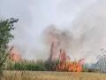 देहूत १२ एकर ऊस जळून खाक, १५ ते १६ लाखांचे नुकसान - Marathi News | 12 acres of sugarcane burnt loss 15 to 16 lakhs in dehu | Latest pune News at Lokmat.com