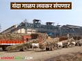 राज्यातील सुमारे ७० टक्के कारखान्यांचे ऊस गाळप पूर्ण; अजून किती दिवस सुरु राहणार गाळप? - Marathi News | Sugarcane crushing of about 70 percent of the factories in the state has been completed; how many more days will the crushing continue? | Latest agriculture News at Lokmat.com