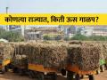 देशभरातील नव्या साखर हंगामाची संथ गतीने सुरुवात  - Marathi News | A slow start to the new sugar season across the country | Latest agriculture News at Lokmat.com