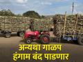 एफआरपीपेक्षा टनाला ४०० रुपये जास्त द्या - Marathi News | Pay Rs 400 per tonne more than FRP for sugarcane | Latest agriculture News at Lokmat.com