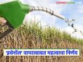 इथेनॉल संबंधी 'ती' याचिका सर्वोच्च न्यायालयाने फेटाळली; ५ कोटी ऊस उत्पादक शेतकऱ्यांना दिलासा - Marathi News | Supreme Court dismisses 'that' petition regarding ethanol; relief for 5 crore sugarcane farmers | Latest agriculture News at Lokmat.com