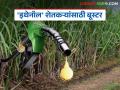 Sugarcane Ethanol : पेट्रोलमध्ये इथेनॉल मिश्रण ऊस उत्पादक शेतकऱ्यांसाठी ठरणार बूस्टर - Marathi News | Sugarcane Ethanol : Blending ethanol in petrol will be a booster for sugarcane farmers | Latest agriculture News at Lokmat.com