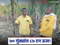 Farmer Success Story : ५० गुंठ्यांत ८५ टन ऊस; मंठ्याच्या शेतकऱ्याने घडवला चमत्कार वाचा सविस्तर - Marathi News | latest news Farmer Success Story: 85 tons of sugarcane in 50 gunthas; Manthya farmer creates miracle Read in detail | Latest agriculture News at Lokmat.com