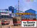 Sugarcane FRP : हंगामाच्या शेवटीच साखर उतारा होणार निश्चित; केंद्र सरकारचे नवीन परिपत्रक - Marathi News | Sugarcane FRP: Sugar extraction will definitely be done at the end of the season; New circular of the Central Government | Latest agriculture News at Lokmat.com