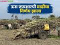 केंद्र सरकारने उसाच्या एफआरपीत केली १०० रुपयांची वाढ; आता टनाला काय भाव मिळणार? - Marathi News | The central government has increased the FRP of sugarcane by Rs 100; What price will you get per ton now? | Latest agriculture News at Lokmat.com
