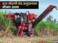 ऊस तोडणी यंत्र अनुदान प्रकल्पास मुदतवाढ; यंदा किती कोटींची तरतूद? वाचा सविस्तर - Marathi News | Extension of the sugarcane harvesting machine subsidy project; How many crores of provision is there this year? Read in detail | Latest agriculture News at Lokmat.com