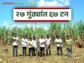 खडकाळ जमिनीत पाटलांनी केला ऊस उत्पादनाचा विक्रम; २७ गुंठ्यांत घेतले ६७ टन उत्पादन - Marathi News | Patil sets sugarcane production record in rocky soil; 67 tons produced in 27 gunthas | Latest agriculture News at Lokmat.com