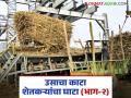ऊस काटामारीच्या मेळातूनच खेळला जातोय का राजकारणाचा खेळ? वाचा सविस्तर - Marathi News | Is the game of politics being played through the sugarcane weight cutting fair? Read in detail | Latest agriculture News at Lokmat.com