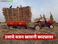 शेतकऱ्यांना कोणत्याही खासगी काट्यावर स्वखर्चाने ऊस वजन करू देण्याची परवानगी द्यावी - Marathi News | Farmers should be allowed to have their sugarcane weighed at any private weighbridge at their own expense | Latest agriculture News at Lokmat.com
