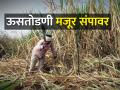 गाळप हंगामापूर्वी कारखान्यांना करावा लागणार संपाचा सामना - Marathi News | Sugarcane factories will have to face strikes before the harvesting season | Latest agriculture News at Lokmat.com