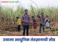 Farmer Success Story : दोन एकरांत १२० टन उसाचे उत्पादन घेऊन लक्ष्मणरावांनी जपला गोडवा - Marathi News | Farmer success story: Laxmanrao preserves sweetness by producing 120 tons of sugarcane in two acres | Latest agriculture News at Lokmat.com