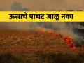 पिकांचे अवशेष जाळू नका, मातीत गाडा - Marathi News | Do not burn crop residues, bury them in the soil | Latest agriculture News at Lokmat.com