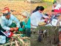 कोयता सोडून धरली औषधपेटी! ऊसतोड महिला आता फडावरच्या ‘डॉक्टर मॅडम’; बीड पॅटर्नचा राज्याला आदर्श  - Marathi News | Abandoning the sickle, she grabbed the medicine box! Sugarcane harvester woman is now a 'doctor madam' on the farm; Beed pattern is a model for the state | Latest beed News at Lokmat.com