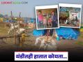 Sugarcane Workers Story : थंडीतही हातात कोयता… ऊस कामगारांचे आयुष्य संघर्षमयच - Marathi News | latest news Sugarcane Workers Story: With a sickle in hand even in the cold… The life of sugarcane workers is a struggle | Latest agriculture News at Lokmat.com