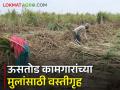 ऊसतोड कामगारांच्या मुलांसाठी वस्तीगृह, गळती रोखण्यासाठी महत्वाचे! - Marathi News | Latest News Hostels for continuing education of children of sugarcane workers | Latest agriculture News at Lokmat.com