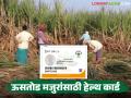Sugarcane Workers Health Card : ऊसतोडीसाठी निघालात? जपा तुमचे 'हेल्थ कार्ड' प्रत्येक ठिकाणी होणार फायदा - Marathi News | latest news Sugarcane Workers Health Card: Going out for sugarcane harvesting? Keep your 'health card', it will be beneficial everywhere | Latest agriculture News at Lokmat.com