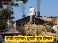 सीमाभागातील साखर कारखान्यांचा हंगाम लवकरच सुरू होण्याची शक्यता; यंदा ऊस पुरणार का? - Marathi News | Sugar mill season in border areas likely to start soon; Will there be enough sugarcane this year? | Latest agriculture News at Lokmat.com