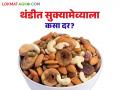 मागील वर्षाच्या तुलनेत यंदा सुकामेवा झाला स्वस्त; वाचा कोणत्या सुक्यामेव्याला मिळतोय किती दर? - Marathi News | Dried fruits have become cheaper this year compared to last year; Read: Which dried fruits are getting what price? | Latest agriculture News at Lokmat.com