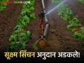 Micro Irrigation Subsidy : कर्ज काढून साहित्य खरेदी, अजून सूक्ष्म सिंचन अनुदान मिळालेच नाही, वाचा सविस्तर  - Marathi News | Latest News yavatmal district Farmers did not get micro irrigation subsidy, read in detail | Latest agriculture News at Lokmat.com