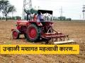Summer Cultivation : उन्हाळी मशागत करणे गरजेचे का असतं? वाचा सविस्तर  - Marathi News | Latest News Why is summer cultivation necessary? Read in detail | Latest agriculture News at Lokmat.com