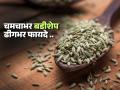 Summer Special : चमचाभर बडीशेप आरोग्यासाठी चांगली , तोंडाची दुर्गंधी घालवणे ते पचन सुधारणे अनेक फायदे ... - Marathi News | Summer Special: A teaspoon of fennel seeds are good for health, with many benefit, improves digestion as well | Latest sakhi News at Lokmat.com