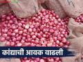 राज्यातील 'या' दोन प्रसिद्ध बाजार समितीत कांदा आवक वाढली; वाचा नंबर १ कांद्याला काय दर? - Marathi News | Onion arrivals have increased in these two famous market committees in the state; Read: What is the price of No. 1 onion? | Latest agriculture News at Lokmat.com