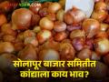 Onion Market : आज लोकल कांद्याला सर्वाधिक भाव मिळाला, वाचा आजचे बाजारभाव  - Marathi News | Onion Market: Local onion got the highest price today, read today's market price  | Latest agriculture News at Lokmat.com