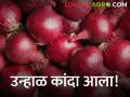हंगामातील पहिल्या उन्हाळ कांद्याची आवक, इतका भाव मिळाला?  - Marathi News | Latest News Arrival of first summer onion of season in Santana Bazar Samiti | Latest agriculture News at Lokmat.com