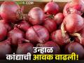 Onion Market : लासलगाव, पिंपळगाव बाजार समितीत उन्हाळ कांदा झळकला, मिळाला 'इतका' भाव - Marathi News | Latest News Todays Summer Onion market price in Lasalgaon, Pimpalgaon | Latest agriculture News at Lokmat.com