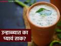 उन्हाळ्यात वात, पित्त आणि कफ आरोग्य प्रकृतीनुसार कसं आणि किती ताक प्यावं? वाचा सविस्तर - Marathi News | How and how much buttermilk should be consumed in summer according to Vata, Pitta and Kapha health conditions? Read in detail | Latest agriculture News at Lokmat.com