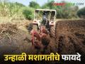 उन्हाळ्यात केलेल्या जमीन मशागतीचे हे आहेत चार फायदे - Marathi News | Here are four important benefits of summer tillage | Latest agriculture News at Lokmat.com