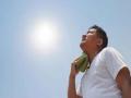 मे-जून नाही, तर फेब्रुवारीपासूनच उन्हाळा सुरू होणार! IMD ने जारी केला अलर्ट - Marathi News | Weather Update: Summer will start from February itself, not May-June! IMD issues alert | Latest national News at Lokmat.com